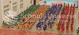 Olive Public School gallery image 1