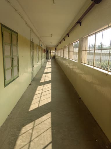 Padma Seshadri Bala Bhavan Senior Secondary School (PSBB) gallery image 4