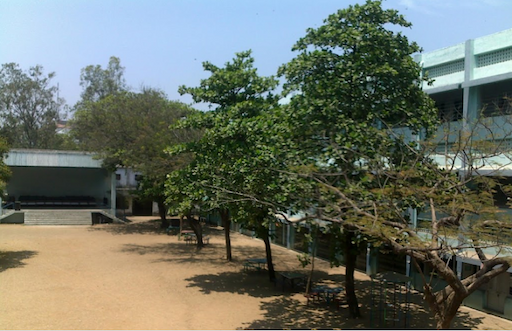 CSI Bain School gallery image 3
