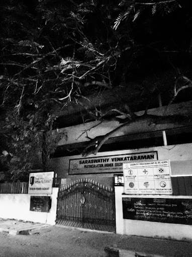 Saraswathy Venkataraman gallery image 4