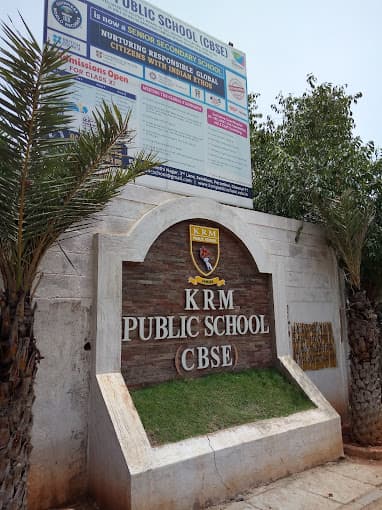 KRM Public School gallery image 1