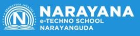 Narayana High School, Narayanaguda, Hyderabad logo
