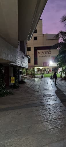 Vivero International Preschool & Child Care gallery image 9