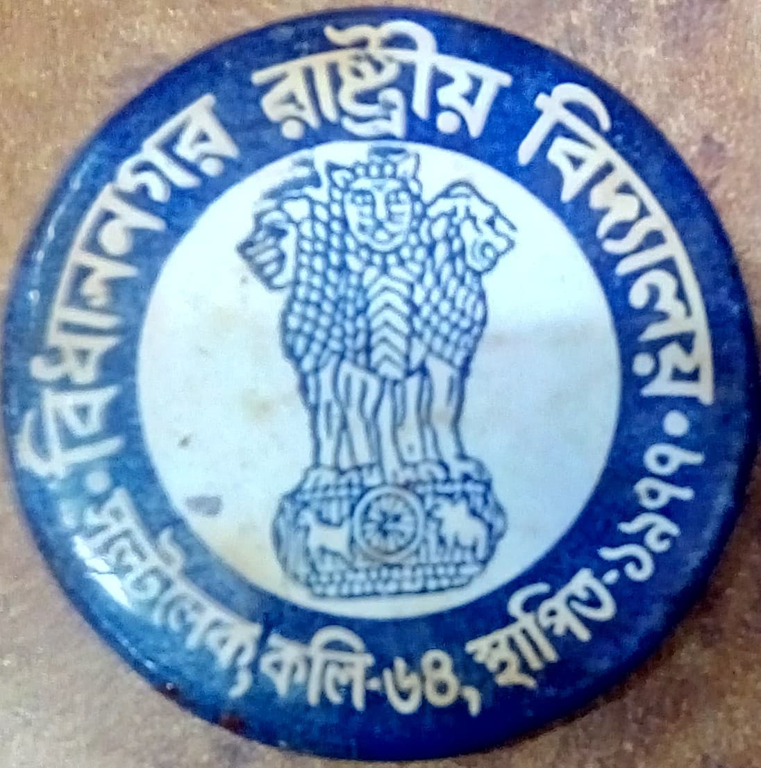 Bidhannagar Government High School Logo