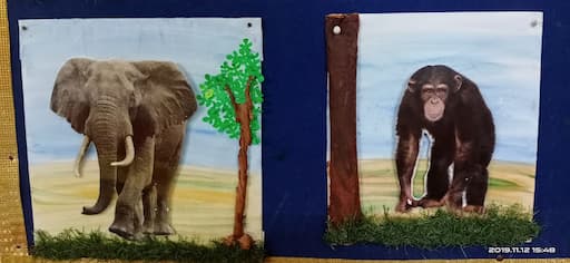 Young phoenix international pre school gallery image 6