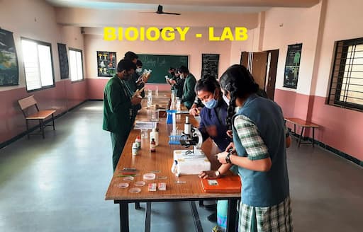 Infant Jesus School gallery image 2