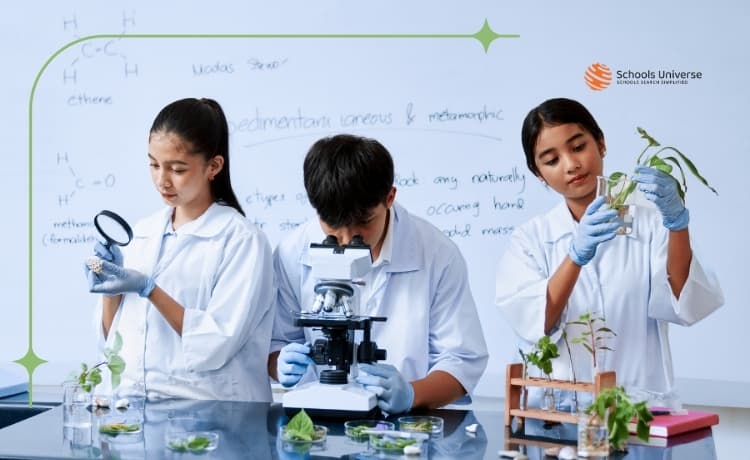 How Schools Develop Research, Reading and Presentation Skills in Students